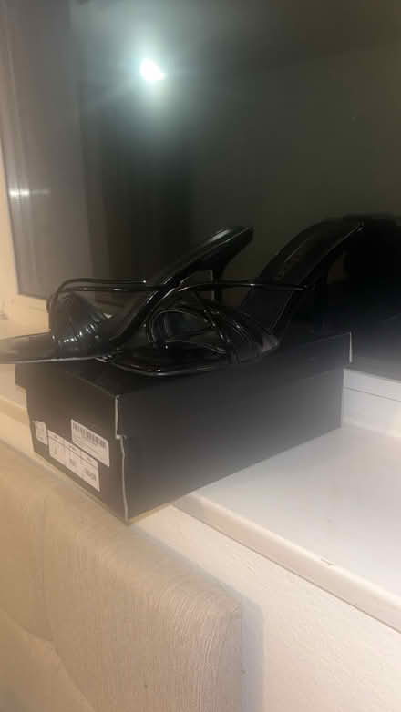 Photo of free Black mules (Coulsdon town station) #2