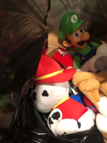 Photo of free Big bag of stuffies & toys (Glendale Heights) #2