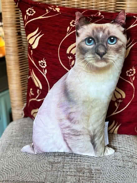 Photo of free Cushion (Rodborough) #1