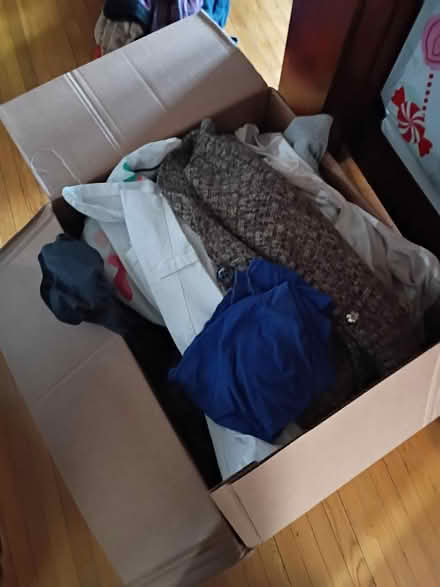 Photo of free miscellaneous woman's clothes (St Clair Shores) #1