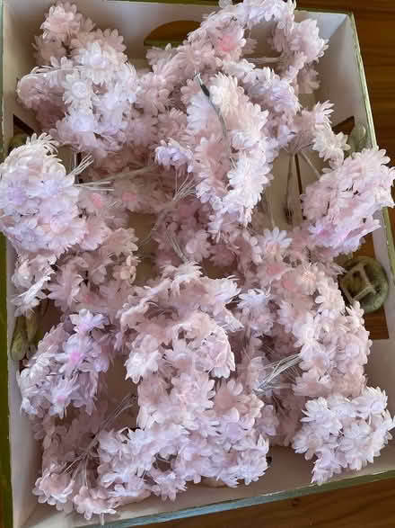 Photo of free Fabric flowers (Battenhall WR5) #3