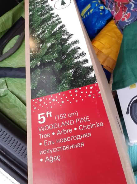 Photo of free 5ft Christmas tree (Billericay CM11) #2