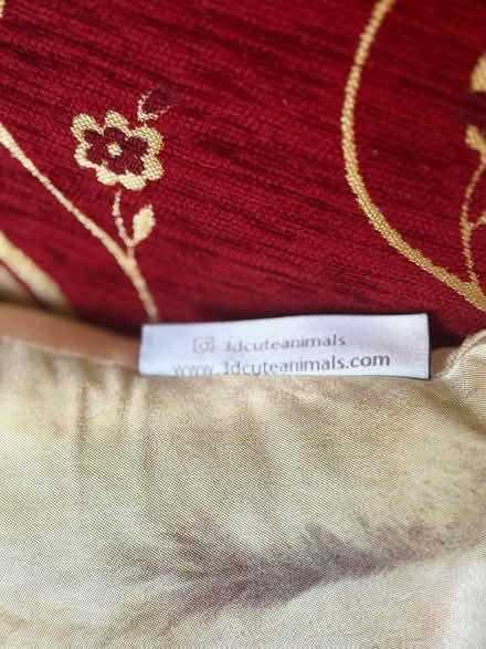 Photo of free Cushion (Rodborough) #2