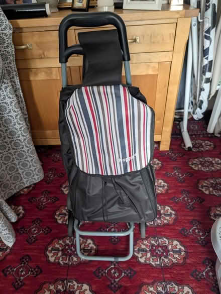 Photo of free Shopping Trolley (AL10) #1