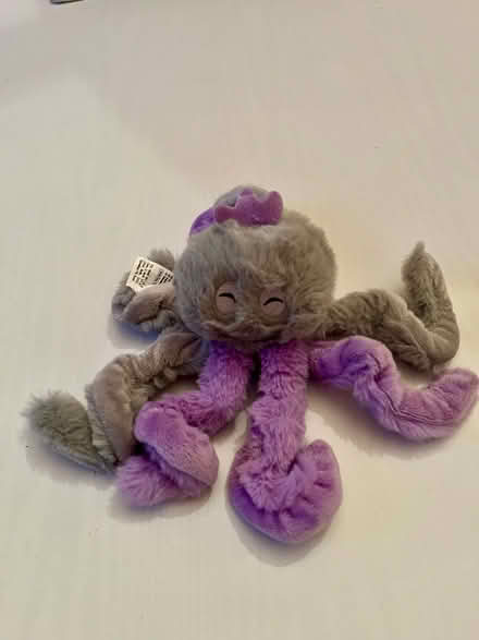 Photo of free Cat toy (WN7) #1