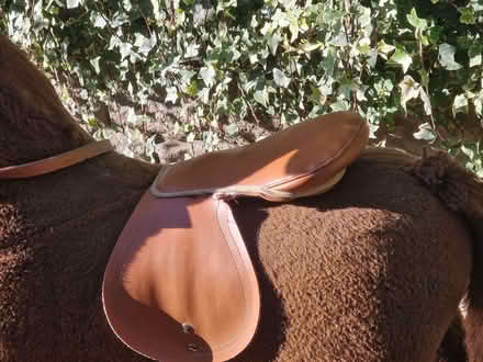 Photo of free Rocking horse (Hollingbury BN1) #1