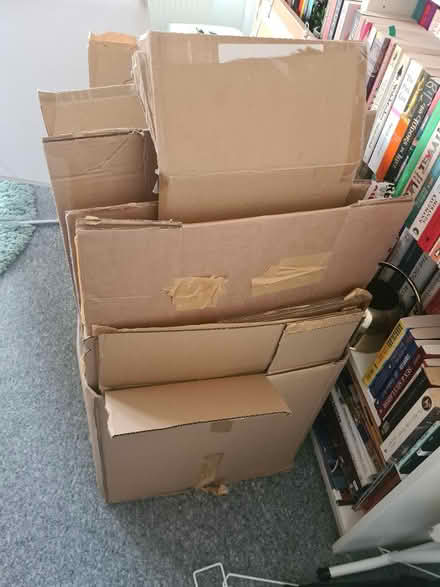 Photo of free Cardboard boxes (Lewisham SE13) #2