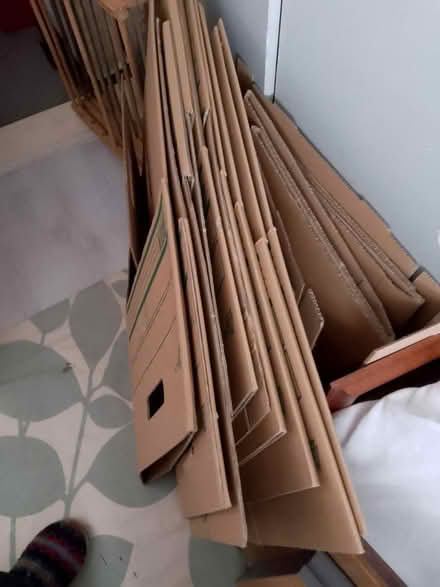 Photo of free Moving boxes (Sittingbourne ME99QD) #1