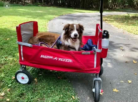 Photo of Polyethylene foam sheets (Eatontown) #1