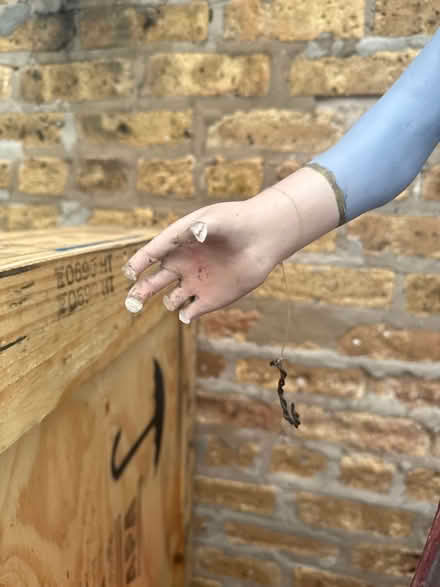 Photo of free Beautiful statue - broken fingers (Downtown Wilmette) #2