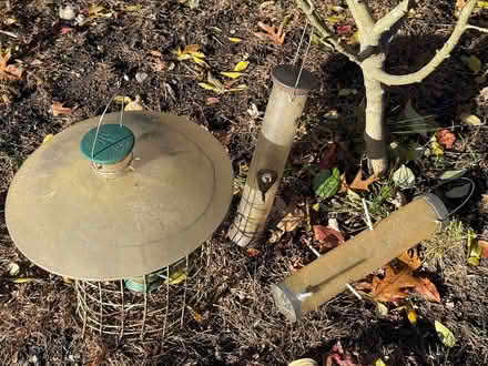 Photo of free outdoor bird feeders (Acton) #1