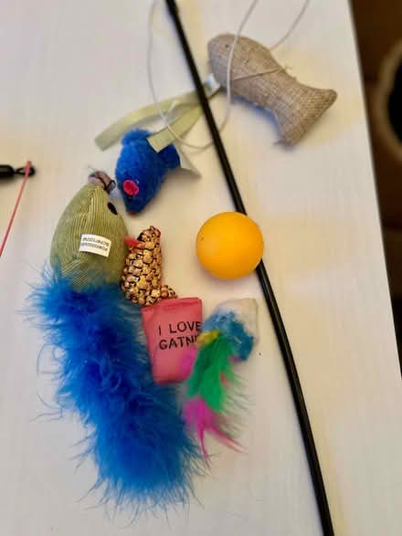 Photo of free Cat toys #3 (WN7) #1