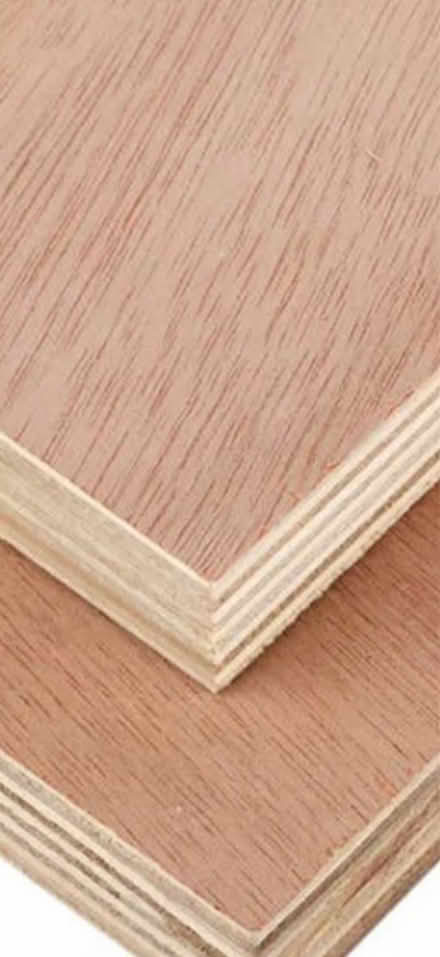 Photo of Piece of plyboard (Witham Essex CM8) #1