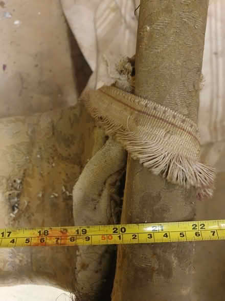 Photo of free Chair for restoration project (Caterham on the Hill CR3) #2