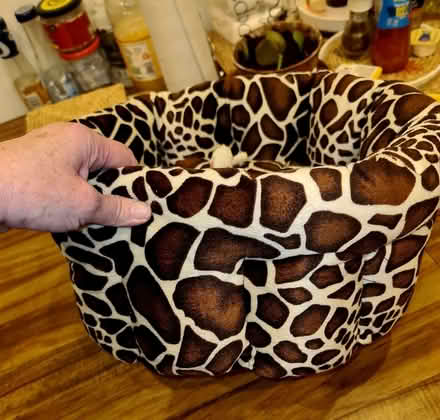 Photo of free Soft nest for your cat or small dog (Dalston E8) #3