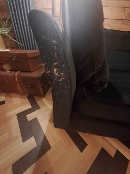 Photo of free Black velvety 2 seat chaise lounge (hessle HU13) #3