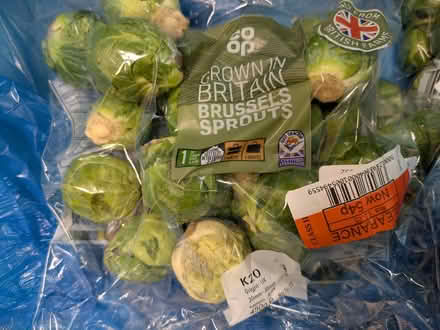 Photo of free Lots of Brussel sprouts (E14 Isle of Dogs) #1