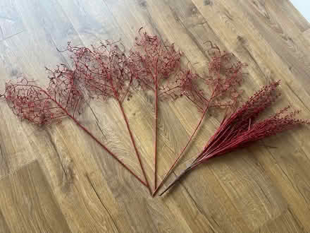 Photo of free Christmas Decorations (Wickford, Shotgate.) #1