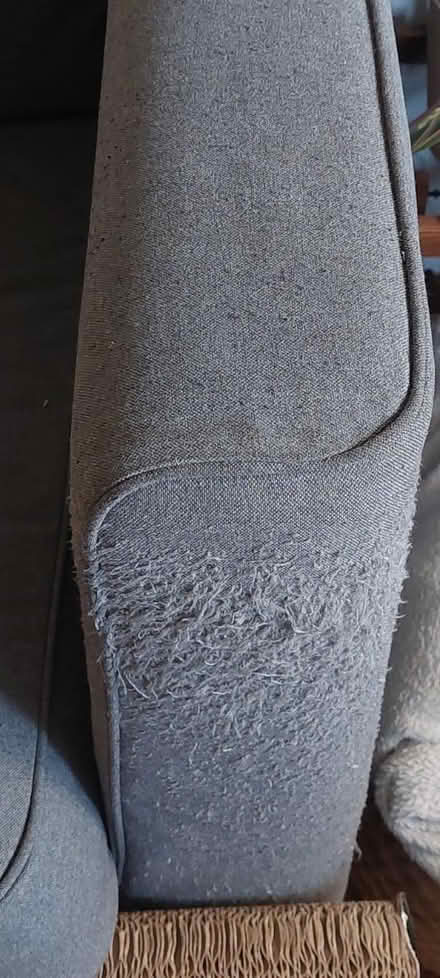 Photo of free Two seater sofa- Ikea PÄRUP (N11 3NT) #4