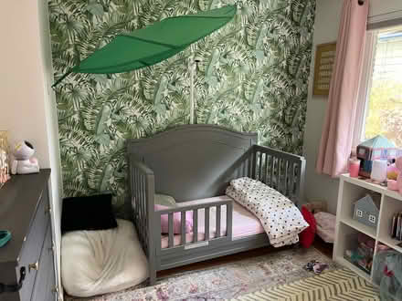 Photo of free IKEA leaf canopy (Carkeek) #1