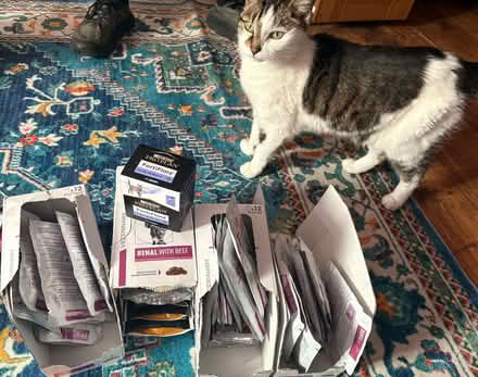 Photo of free Royal Canin, Renal cat food (Forest Gate E7) #1