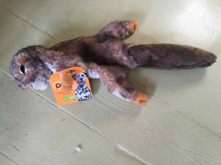Photo of free New squeaky dog toy (Farley Heath GU5 9EW) #1