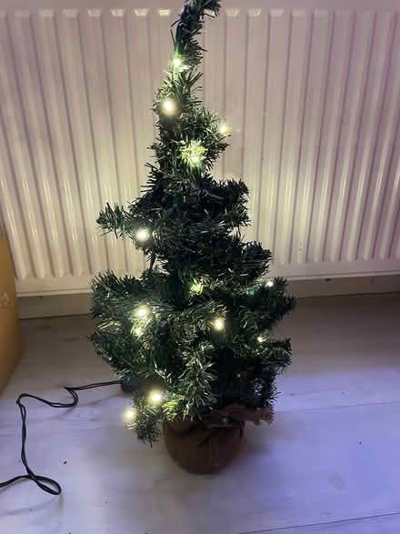 Photo of free Xmas Lights (kenilworth CV8) #1