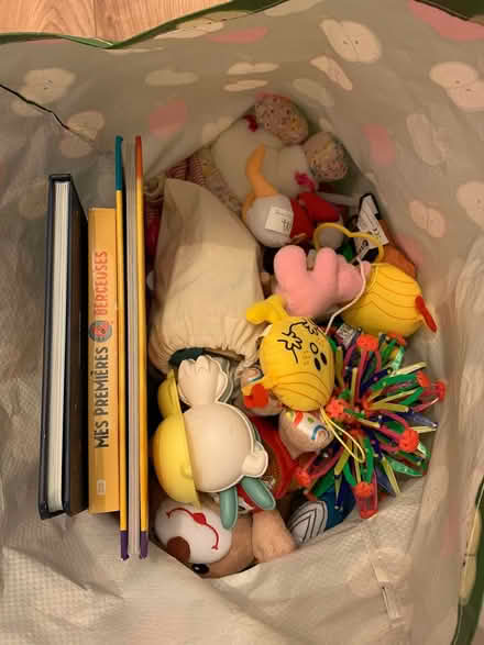 Photo of free Kids toys and books (Blackrock) #1