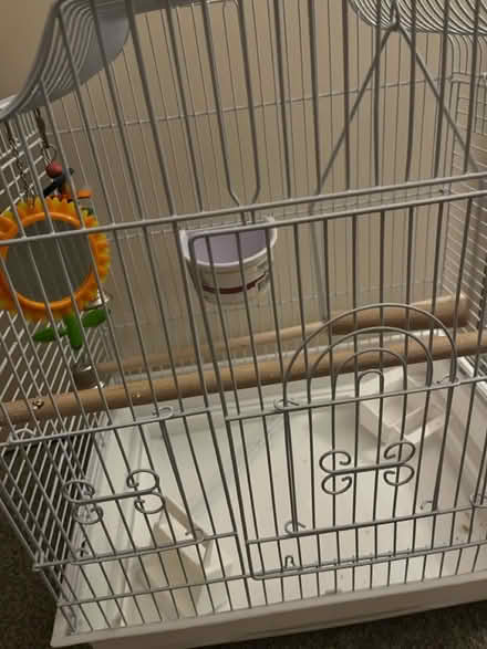 Photo of free Bird cage (Croydon) #1