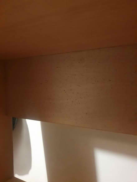 Photo of free Tall bookcase (Old Trafford M16) #2