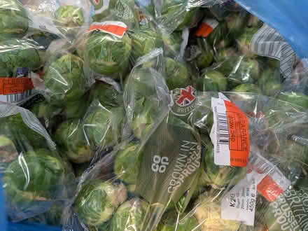 Photo of free Lots of Brussel sprouts (E14 Isle of Dogs) #2