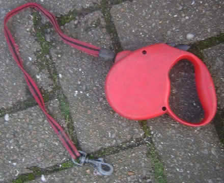Photo of free extendable dog lead (Hillfields BS16) #1