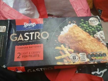 Photo of free Battered fish (Weeke SO22) #1