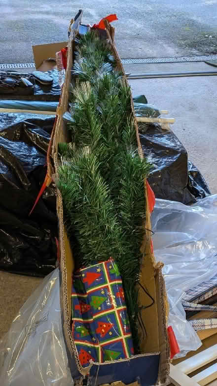 Photo of free LED Christmas Tree 5' (St Anne's on the Sea FY8) #2