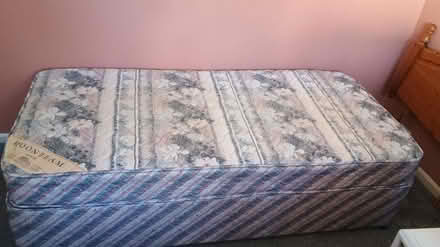 Photo of free Single Bed (IP4) #2