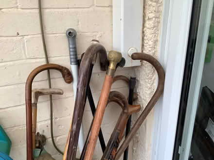 Photo of free Walking sticks (Northborough) #1