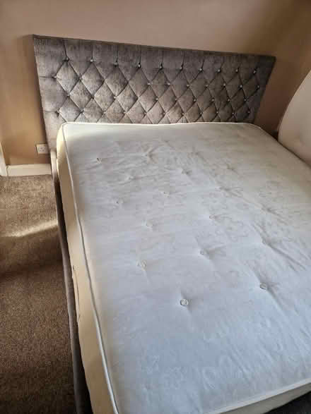 Photo of free Superking bed frame (Slough SL2) #3