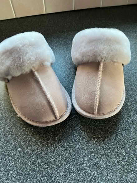 Photo of free Slippers (Woking GU21) #1