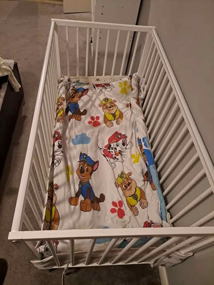 Photo of free Single baby cot / crib (Buckhurst Hill IG9) #1