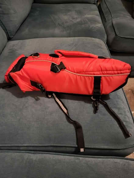 Photo of free Dog life jacket (Brixham) #2