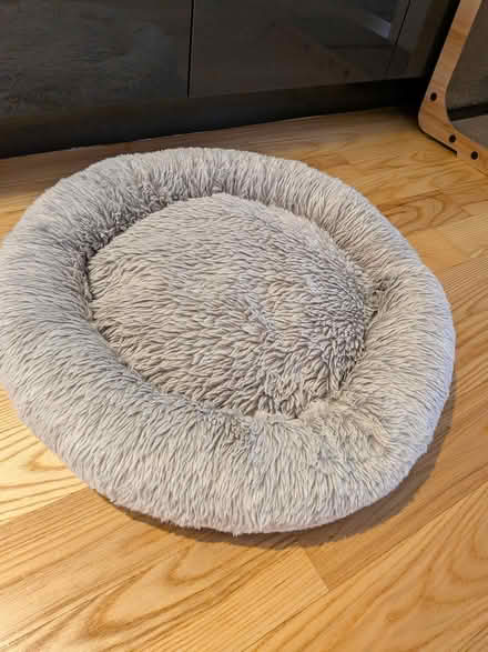 Photo of free Cat bed (Old Ottawa south) #1