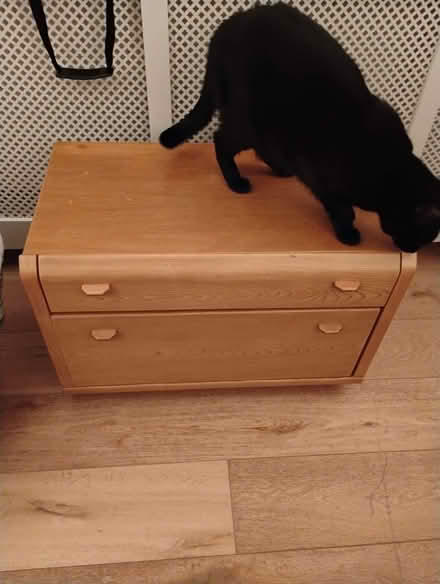 Photo of free Chest of drawers (Notting Hill W11) #1