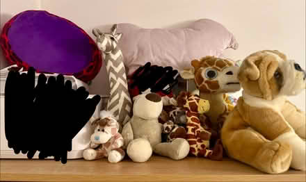 Photo of free Soft toys (Lundwood, S71) #1