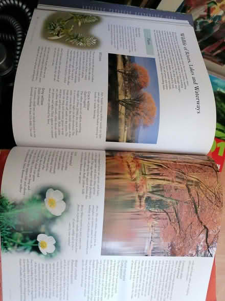 Photo of free Nature books (Stirchley B30) #2