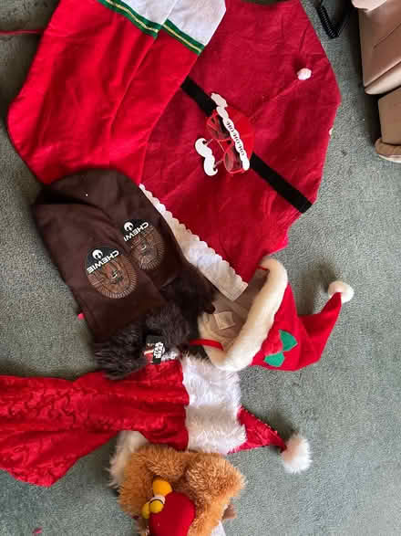 Photo of free Xmas Hats & Stockings (Denvilles Havant PO9) #1