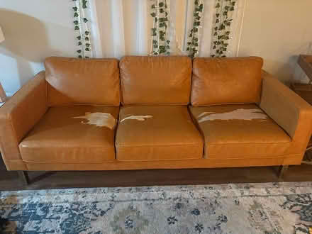 Photo of free Couch/Sofa (South Milwaukee) #1