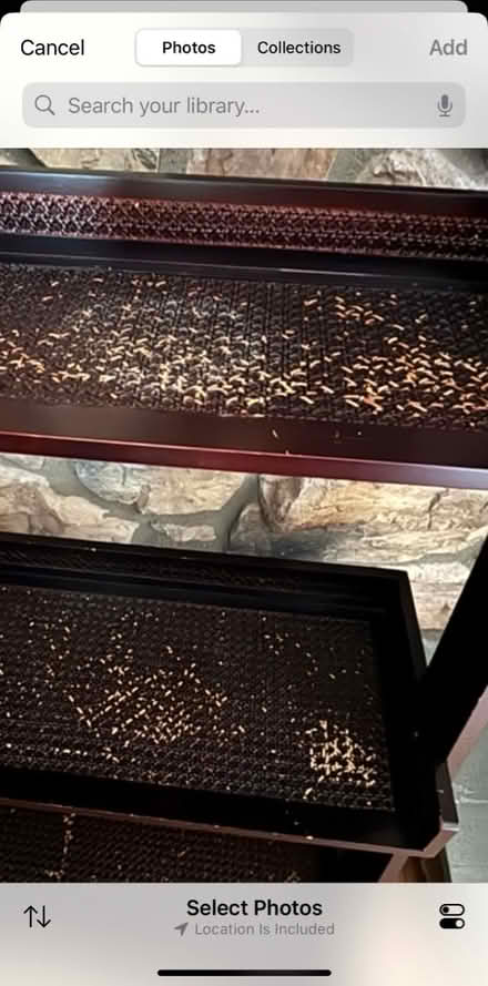 Photo of free Tall, leaning bookcase (Chalfont 18914) #3