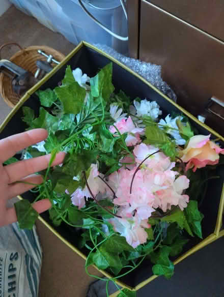 Photo of free Artificial flowers (Brunswick BN3) #1