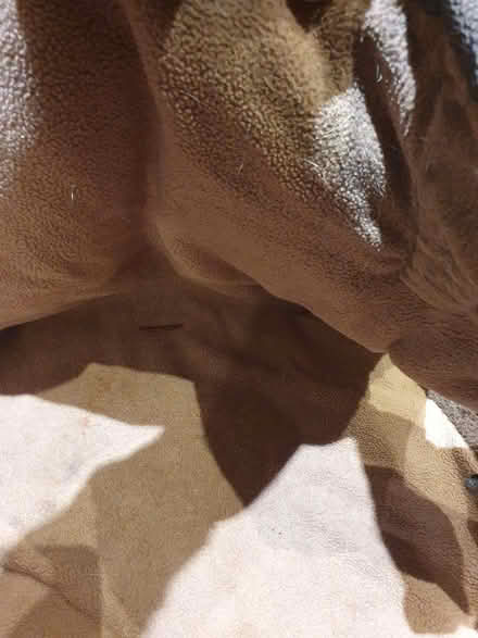 Photo of free cosy dog coat size m/l (AB32) #2