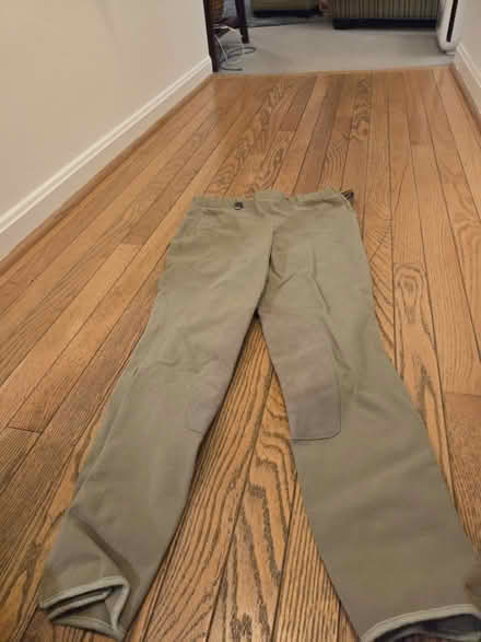 Photo of free Childrens Horse riding show stuff (Waldorf) #3